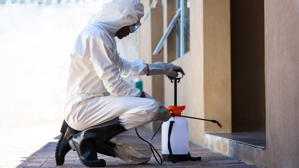Pest Control Services: Restoring Comfort and Safety to Your Home